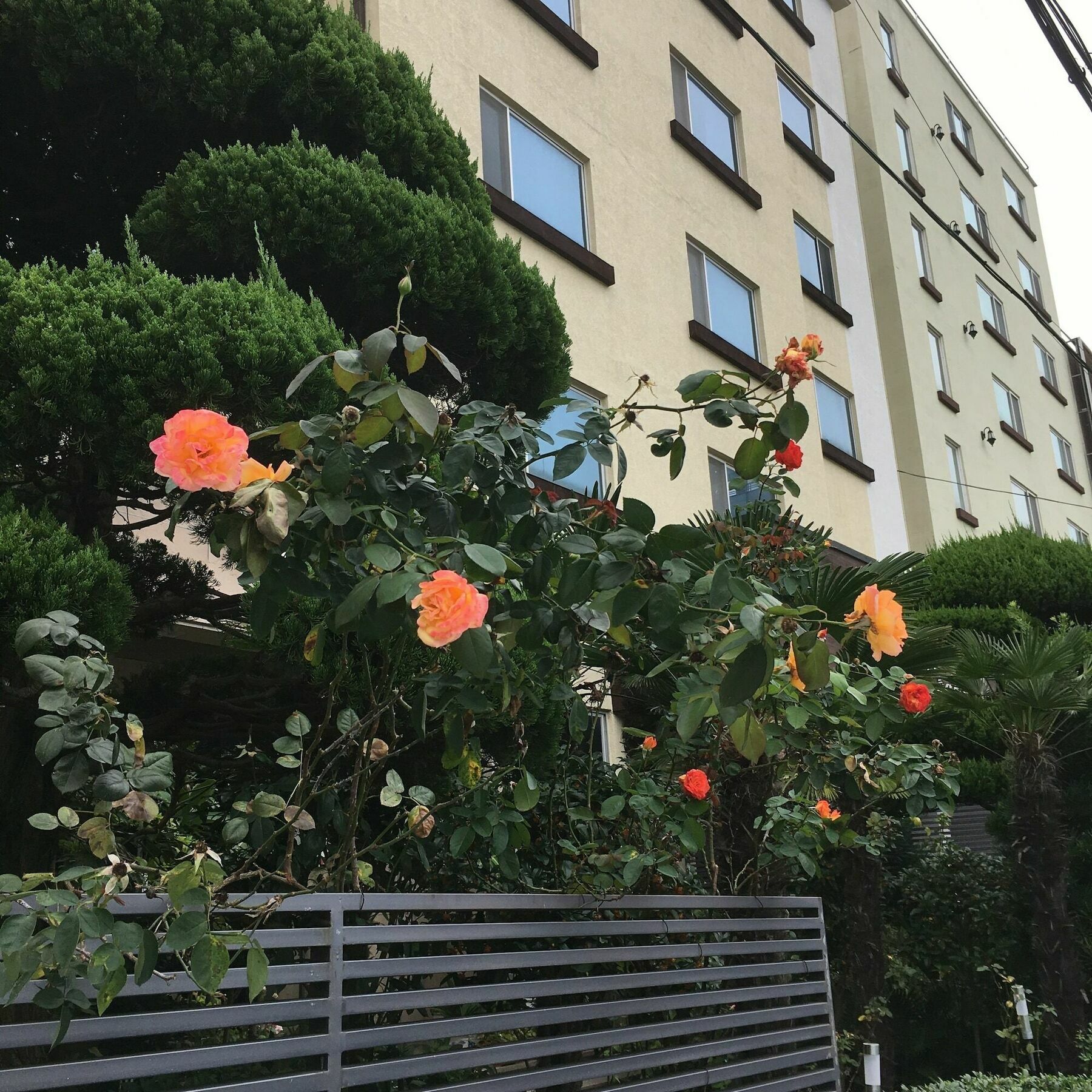 Charmant Hotel Mokpo Exterior foto